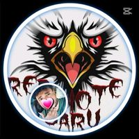 sarusan12