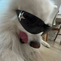 thabiiwabii