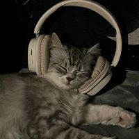 original sound
