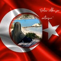 orijinal ses