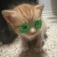 knhkmeang1