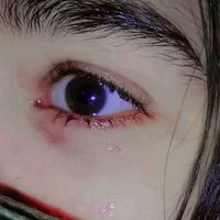 shanikejan043