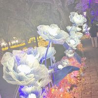 原聲 - 不醉不回家