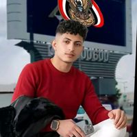 hmyd33m67