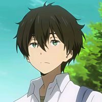 vold.hikari