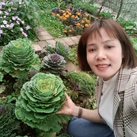 original sound - thutieudung