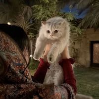 الصوت الأصلي