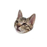 オリジナル楽曲 - ななこ