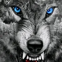 original sound - alfa6759