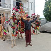 original sound - ဆန်းသစ်မင်း စတူရီယို
