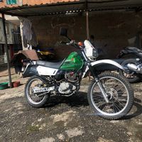 liizboy13