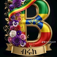 biruk.kebede4667