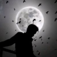 mohammademran018