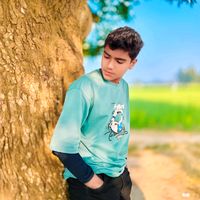 alifbabu528