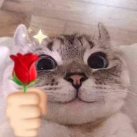 nhạc nền - __ʚရှီɞ__тнươngvợвạn__ʚရှီɞ__