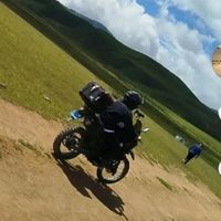 gido398