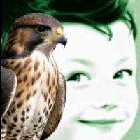 TikTok Account - samir.ak0707