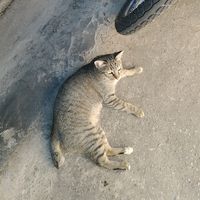 mxryry_97