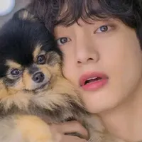 original sound - btsarmy12147