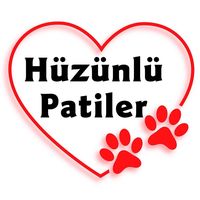 huzunlupatiler