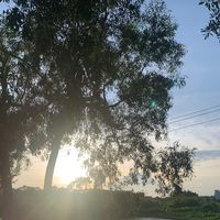 nhạc nền - Ngducbao