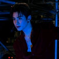 nhạc nền - ⊹ . 🐋 ♡ ۫ . 🫧୧