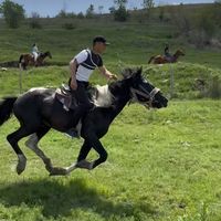 aramtorosyan01