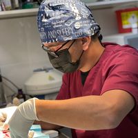 dr.moayadjamhor