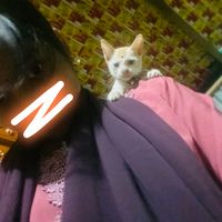 s_shorna_1