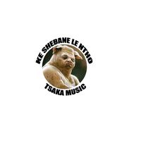 hlasi.music