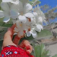 marwabaloch466