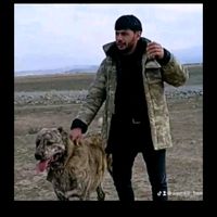 wemkir_beneyi_0057