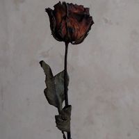 suara asli - Dagubelah🦁