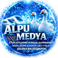 orijinal ses