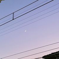 オリジナル楽曲 - 失恋女