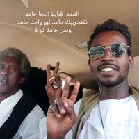 الصوت الأصلي
