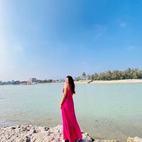 meera.mogor