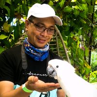 original sound - sir Roland