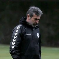 orijinal ses