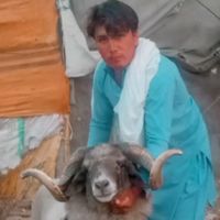 ahsan.khan27077
