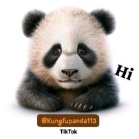 原声 - 叫我功夫熊猫🐼