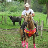 manota.11oficial