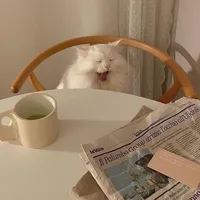 original sound - ssalysan