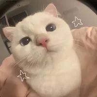 original sound - _jellol