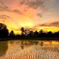 original sound - chowmak_999