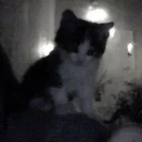 original sound - itssocoldhere