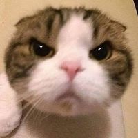 kk__nyat