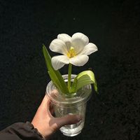 nhạc nền - 1 %
