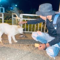 frans_ks139