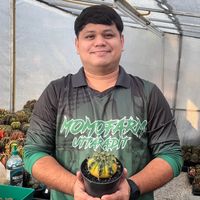 เสียงต้นฉบับ - MomoFarm Nui